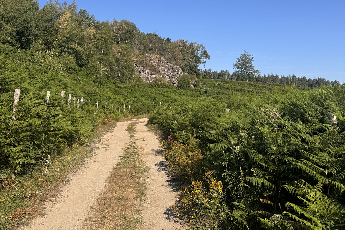 vue du parcours de trail la vergnolle