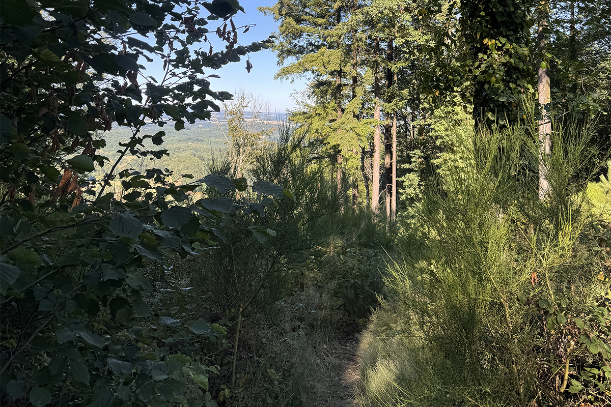 vue du parcours de trail le puy de chiroux