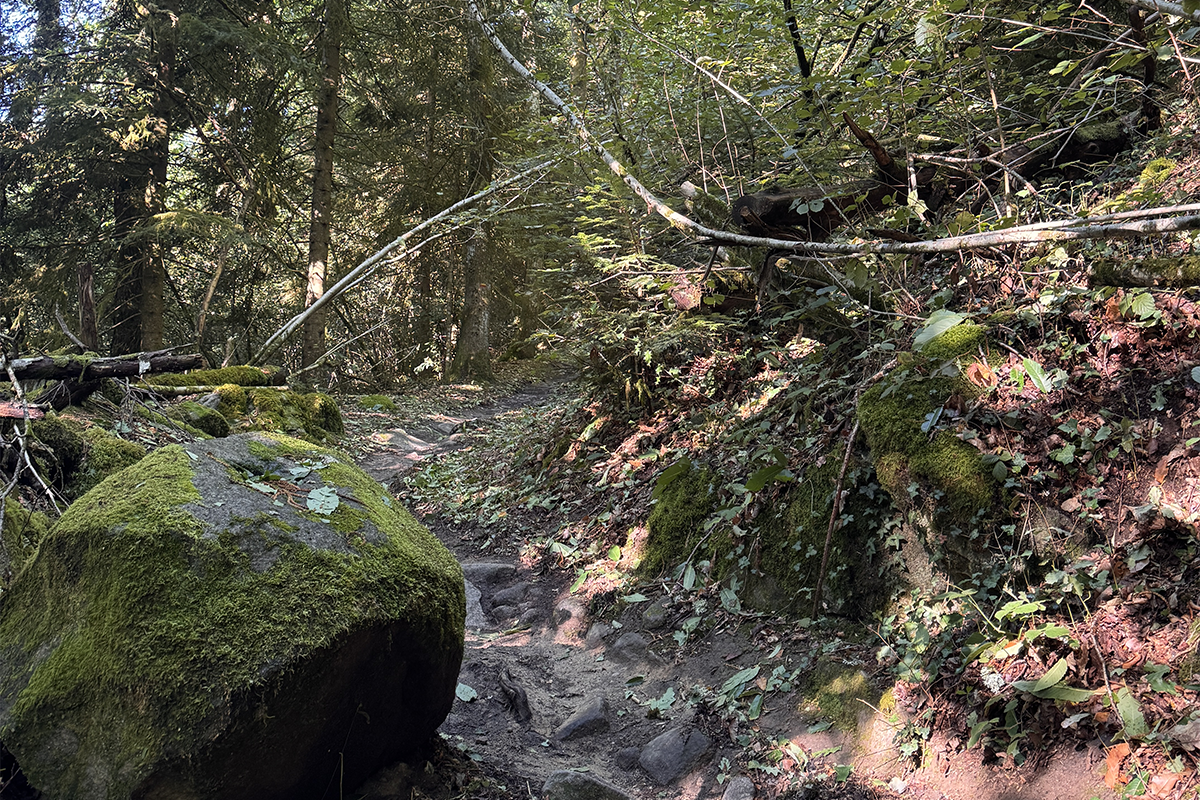 vue du parcours de trail le puy de gaudy